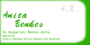 anita benkes business card